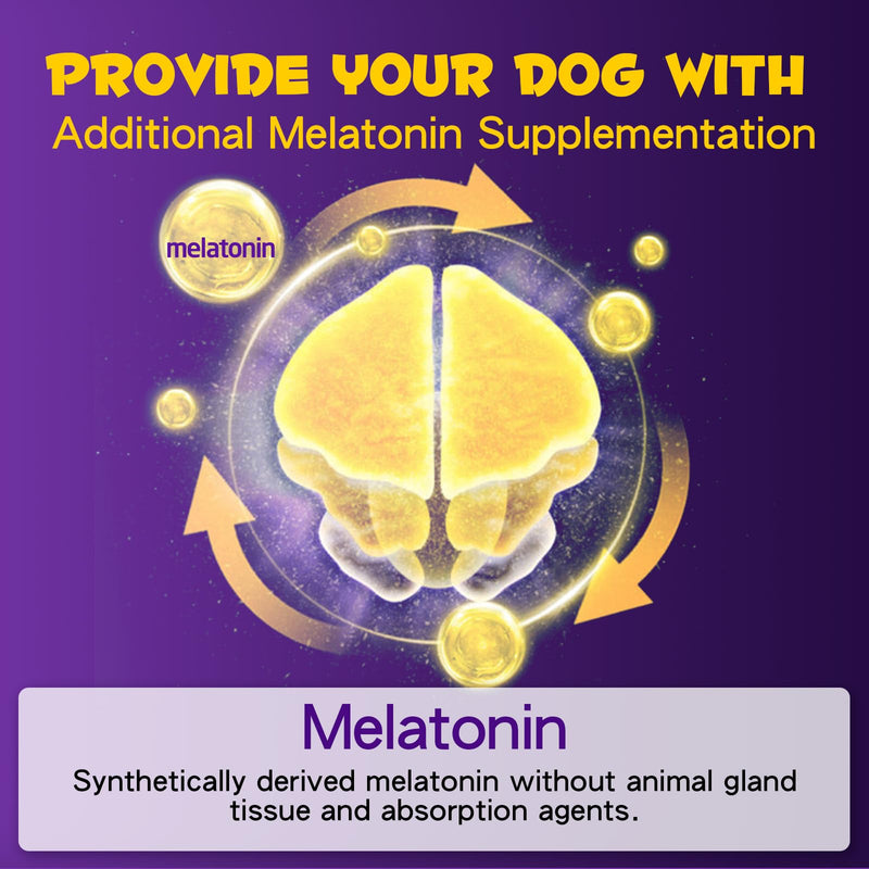 2PCS Melatonin for Dogs,Sleep Aid Drops for Dogs and Cats,Anxiety Relief,Support Relaxation & Deep Sleep for Dogs 120ml Dog