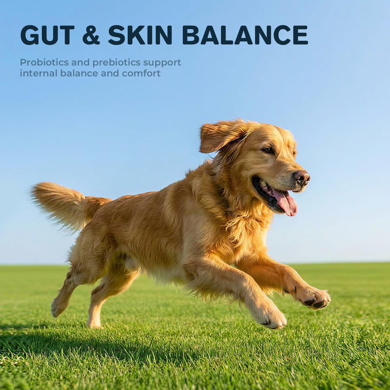 Manuka Honey for Dogs, Allergy & Itch Support Powder for Dogs, Helps Relief Itchy Skin, Supports Skin Comfort & Coat Health with Quercetin, Colostrum & Probiotics, 60 g