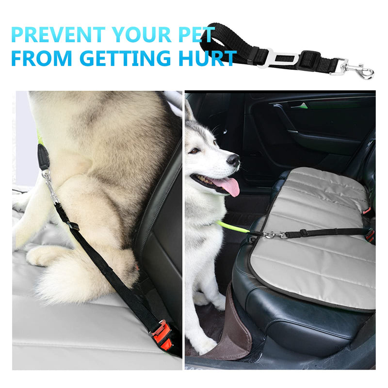 Redamancy seat belt for dog car, dog belt for car, dog seat belt for car, adjustable dog belt, maximum safety for all dog breeds and cats. 65CM - BeesActive Australia