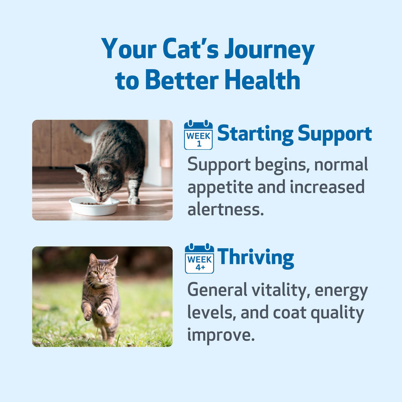 Pet Wellbeing Life Gold for Cats - Supports Detoxification & Healthy Immune Defenses with Burdock & Sheep Sorrel - NASC Certified & Vet-Formulated - 4 oz Liquid Formula