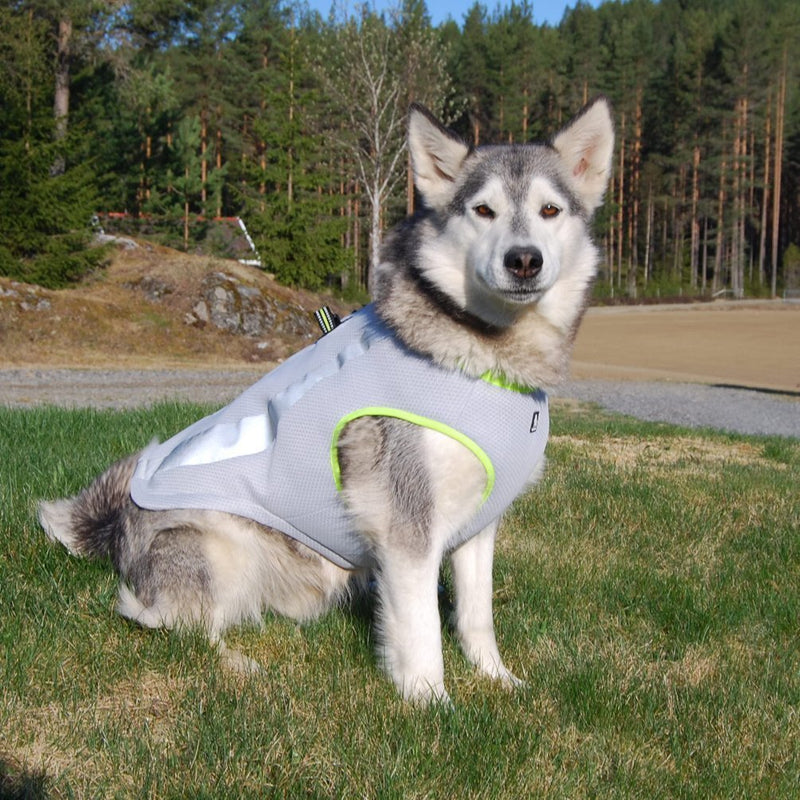 Dog Cooling Vest Harness Cooler Jacket Grey Green X-Large X-Large Chest 28-32" grey with green - BeesActive Australia