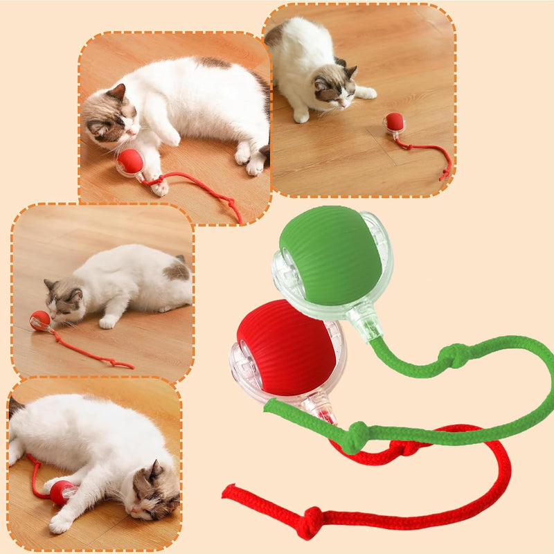 3PC Interactive Dog Toys,Interactive Dog Ball Electric Dog Ball Toy Rollie Pet Cat Toy Interactive Rolling Ball Cat Toy 360° Automatic Rolling Toy Ball for Dog/Cat (Red+Green+Grey) 3pc red,green,gray - BeesActive Australia