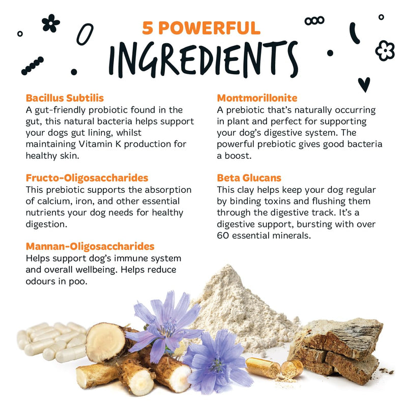 Bugalugs Probiotics For Dogs - Powder, Simple To Add To Food - Complete Daily Digestive Support With Probiotics & Prebiotics For Happy Healthy Dogs (80g) 80g