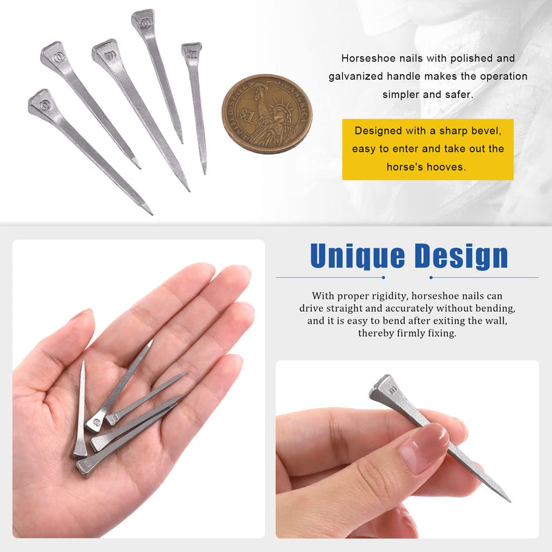 Glarks 130Pcs E2 E3 E4 E5 E6 Horseshoe Nails Assortments Set 41mm 45mm 47.5mm 51mm 54mm Steel Horseshoe Tools for Horse Training Equestrian Sports - BeesActive Australia