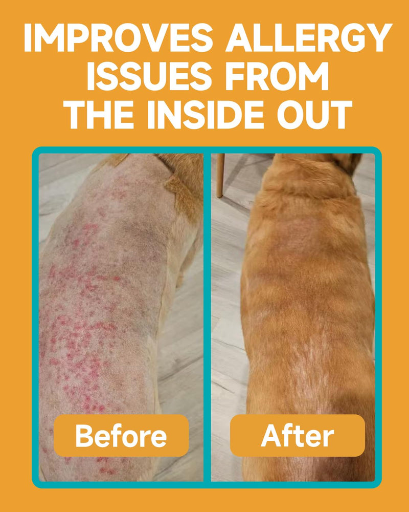 Allergy for dogs - Against itching - Soothes itchy skin, paws, ears - Strengthens the immune system - For dogs that scratch, itch & lick - With chicken flavor, 120 PCS - BeesActive Australia