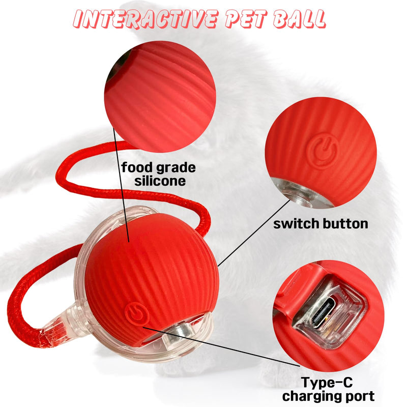 Interactive Rolling Cat Ball, 2025 New Electric Rolling Ball Cat Toy, Interactive Cat Dog Toys Ball,360° Smart Automatic Rolling Pet Ball, Fast Rolling Toy for Dog and Cat Red - BeesActive Australia