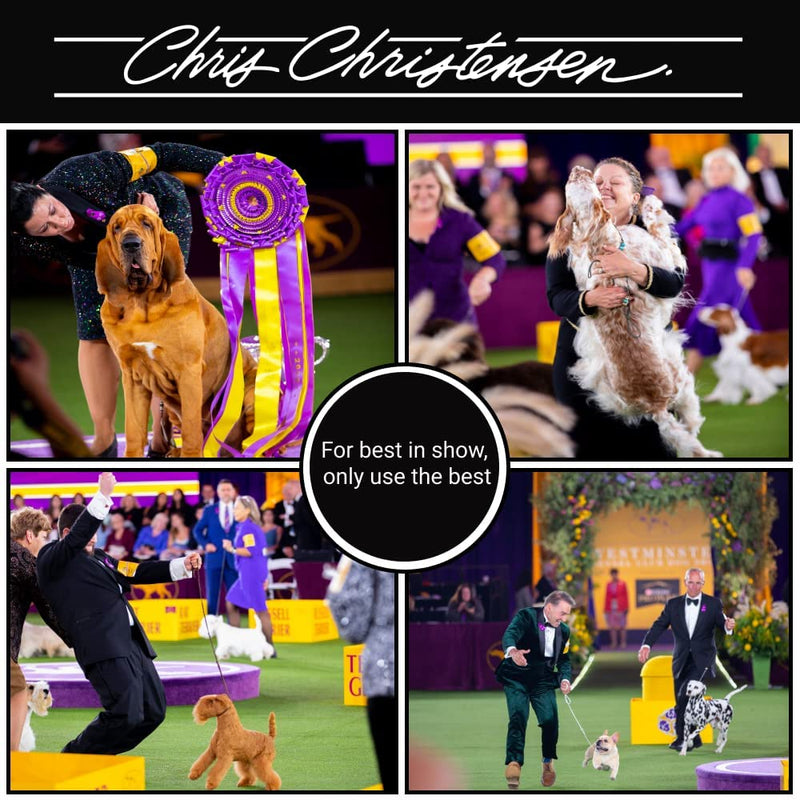 Chris Christensen Silk Spirits Liquid Protein, Smooth and Silky, Eliminate Frizz, Glossy Shine, Black Statis, Dog Conditioner, Groom Like a Professional, 8 oz - BeesActive Australia
