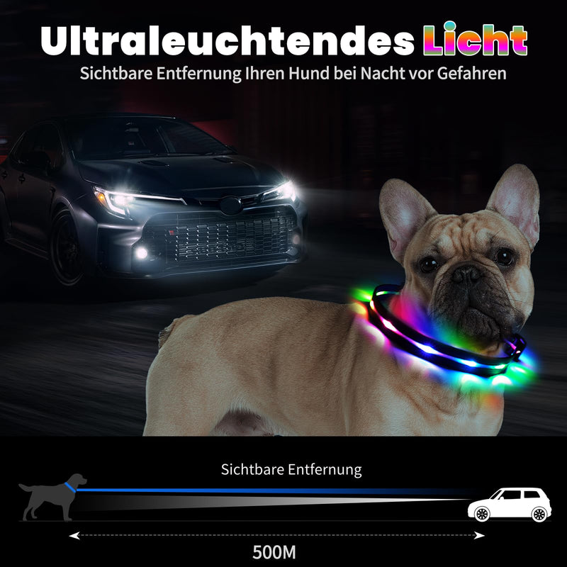 Aisuowa LED light dog collar, USB rechargeable dog collar, luminous, waterproof luminous collar for dogs and cats, 12 lighting modes collar for small, medium and large pets, M - BeesActive Australia