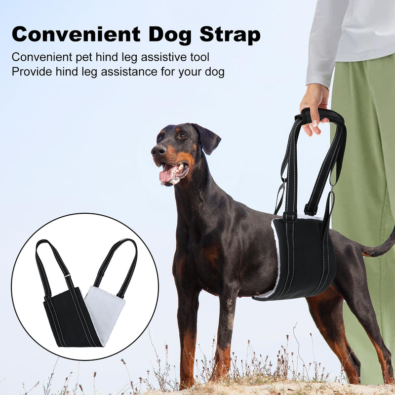 Dog Sling for Back Legs, Dog Sling for Large Dogs Hind Leg Support Adjustable Dog Sling, Dog Support K9 Dog Lift Harness, Helps Senior Dog, Lnjured, After ACL Surgery Rehabilitation (Large) - BeesActive Australia