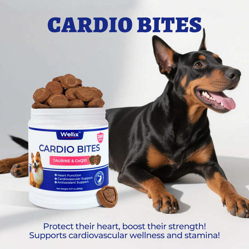Wellix 260g Cardio Taurine for Dogs - Heart Supplements for Dog Chews with CoQ10,Fish Oil,L-Carnitine - Senior Heart Health and Cardiovascular & Antioxidant Support