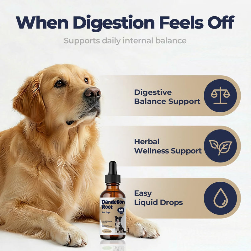Dandelion Root Drops for Dogs – Herbal Liver Support & Digestive Support for Dogs, Supports Metabolic Balance & Daily Vitality, Liquid Dog Supplement, Gentle Daily Wellness Drops, 2 fl oz (60 mL)