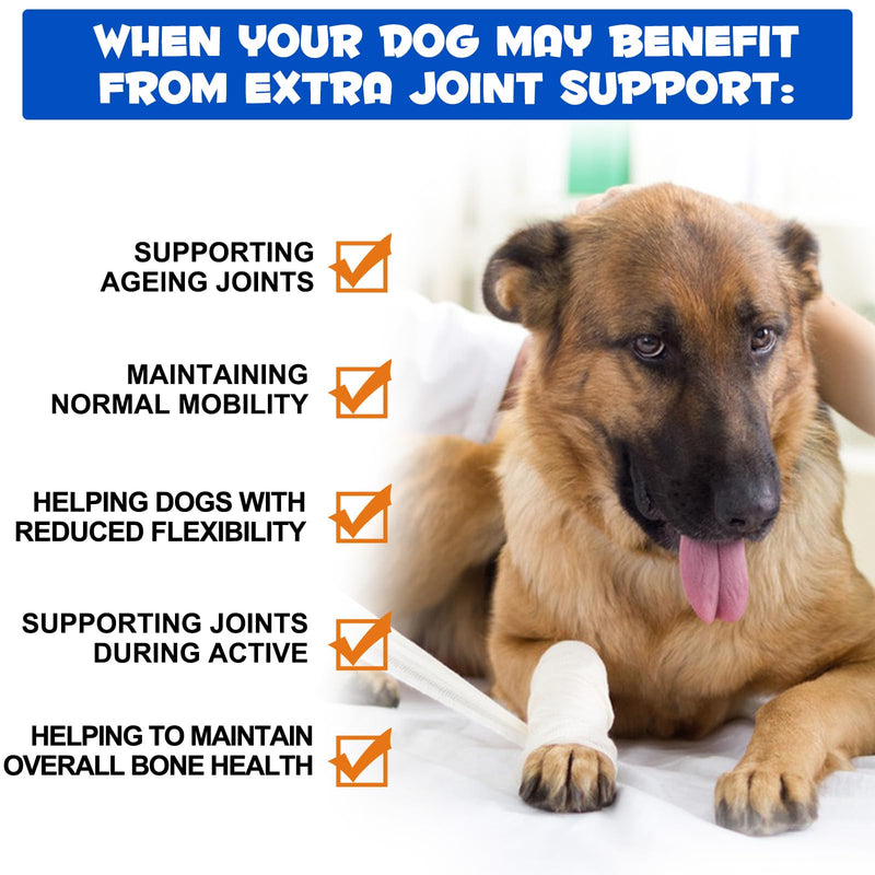 Liquid Supplement for Dogs with Glucosamine, 60ml - Support for Daily Activity & Flexibility
