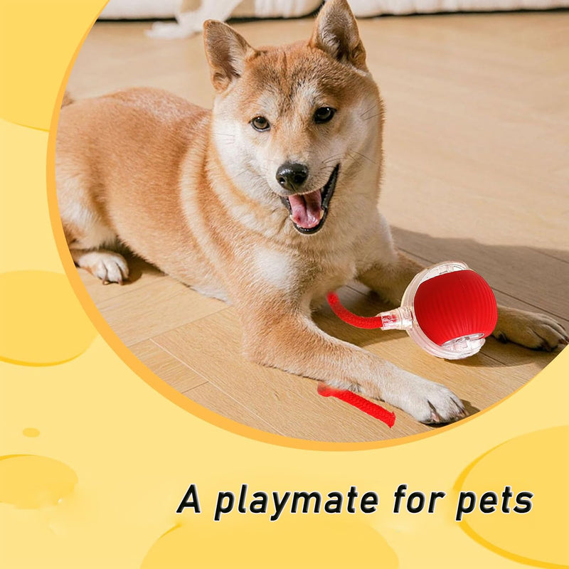 Interactive Rolling Dog Ball,Interactive Rolling Ball Dog Toy,Interactive Rolling Ball Dog Toy,Electric Dog Ball Toy,Electric Dog Ball,360° Smart Automatic Rolling Pet Ball(Red) - BeesActive Australia