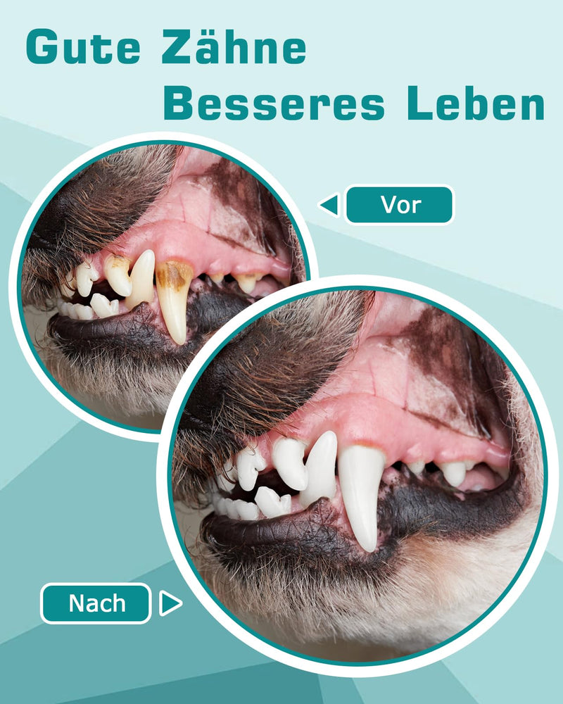 Petbank ultrasonic tooth cleaner for dogs and cats, tooth cleaner for pets, dental care set, teeth cleaning and cleaning set for dogs and cats, 5 cleaning modes, 4 cleaning heads - BeesActive Australia