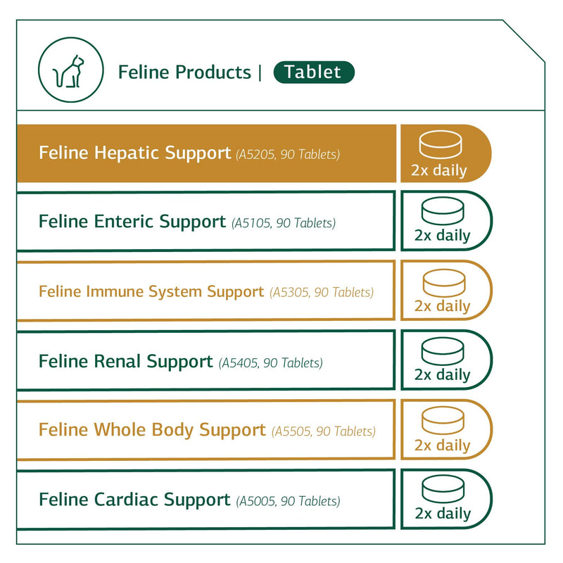 Standard Process Feline Hepatic Support - Cat Health Supplement for Liver Support - Hepatic Circulation & Liver Metabolism Aid - Tablet Supplement to Aid Hepatic Immune Function - 90 Tablets - BeesActive Australia
