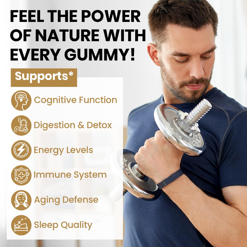 1500MG Shilajit Gummies for Men & Women, 4-in-1 Shilajit with Ashwagandha, Sea Moss, Black Seed | Energy, Immune System & Digestion | Authentic Flavor, Resin & Capsules Alternative, 120 Gummies 60 Count (Pack of 2) - BeesActive Australia