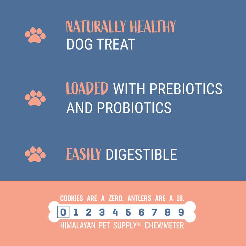 Himalayan Dog Chew Yogurt Sticks, Bacon Flavor, 5 Pieces, Pack of 4 | Prebiotic & Probiotic | Grain-Free | USA Made 4.8 Ounce (Pack of 4)