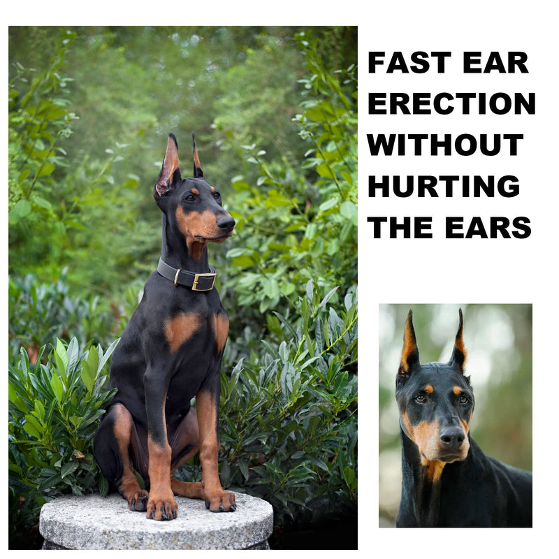 Doberman Dog Ear Posting Kit, Dog Ear Stand Up Support Tool, Dog Ear Tap for Doberman Pinscher Dog - PawsPlanet Australia