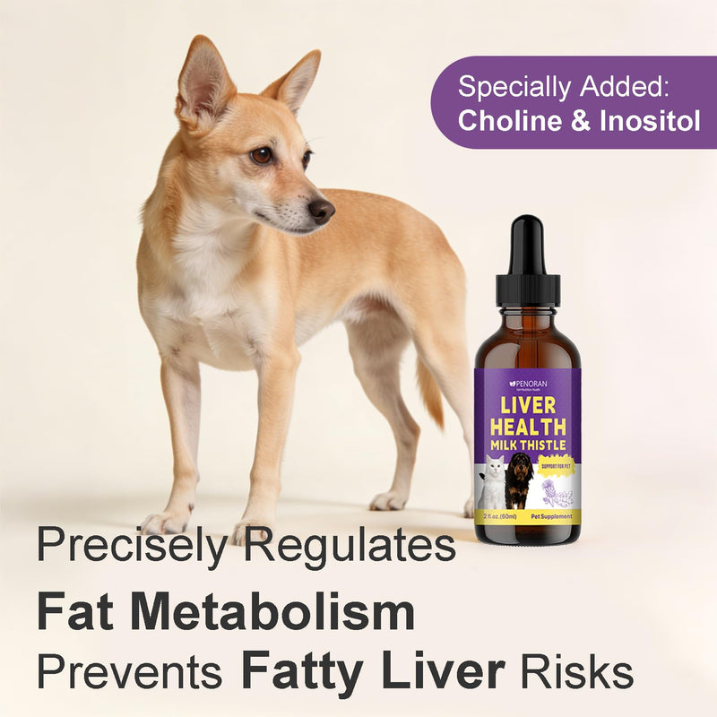 Milk Thistle Liver Support Liquid for Dogs and Cats | targets liver damage and fat buildup, repairs damaged cells, enhances liver detoxification, metabolic capacity
