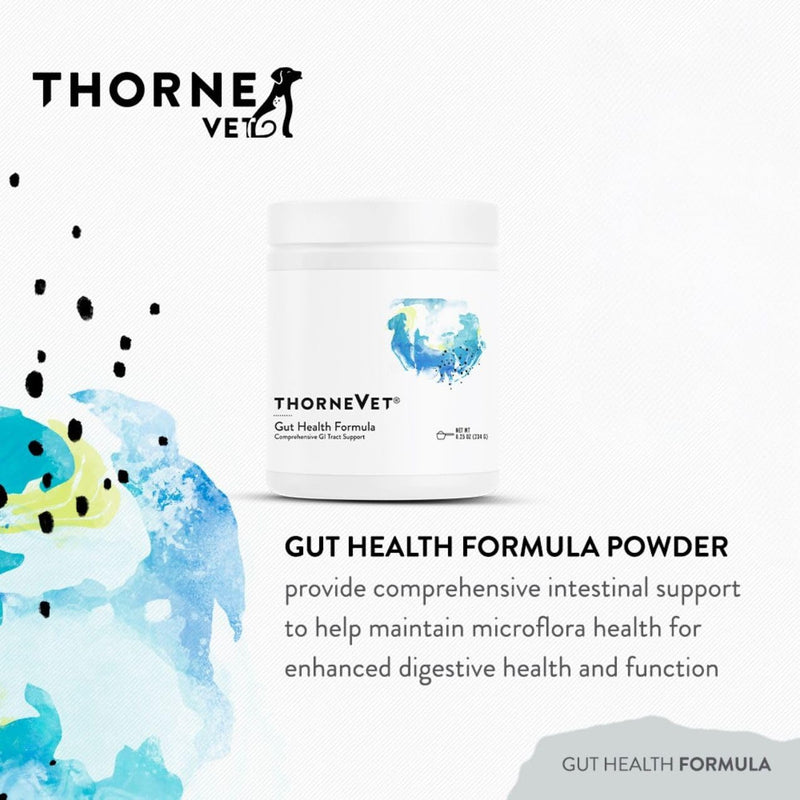 ThorneVET Gut Health Formula – Gastrointestinal Support for Dogs, Cats & Horses, 180 Scoops 3.81 oz (108g)