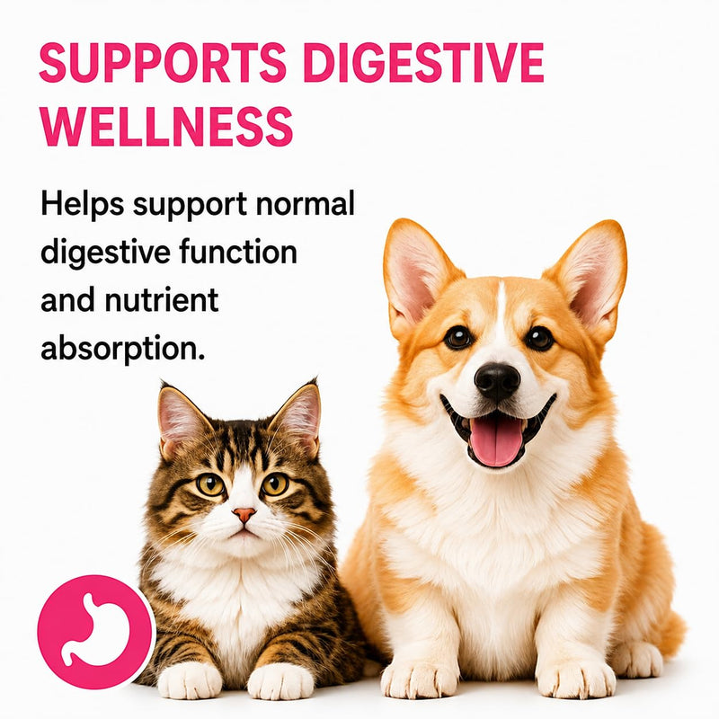 Immune Support Liquid Supplement for Dogs & Cats, Daily Wellness Drops to Support Immune Health, Healthy Growth & Development for Puppies, Kittens and Adult Pets