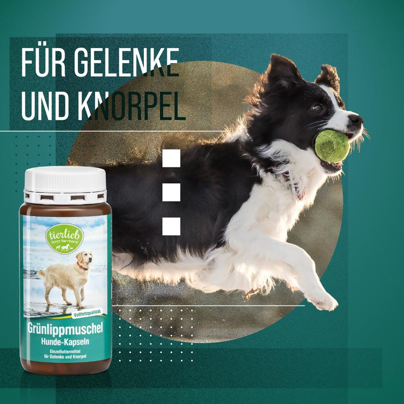 Sanct Bernhard green-lipped mussel dog capsules