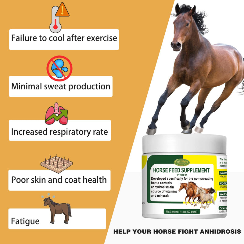 Horse Non Sweating Treatment, Promoting Healthy Temperature Regulation for Stop Sweat, AC, Old, Mare, Gelding, Anhidrosis, One Hot Summer Day Use - BeesActive Australia
