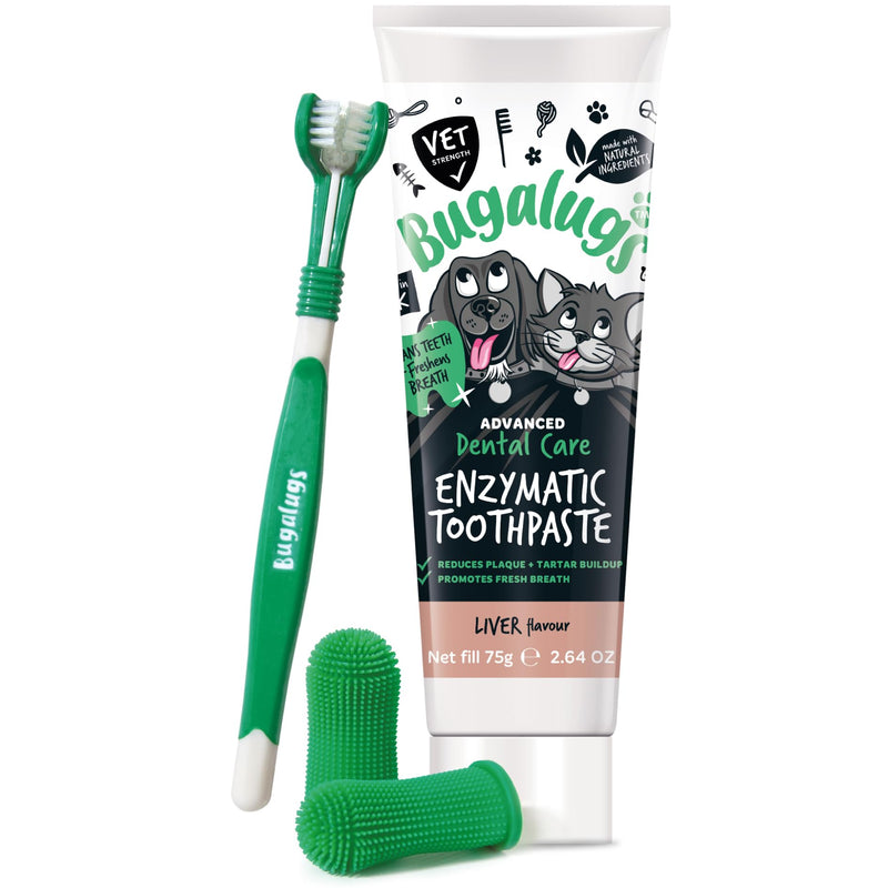 Bugalugs Dog and Cat Toothbrush and Paste Kit - Teeth Cleaning and Breath Freshener 1 count (Pack of 1)