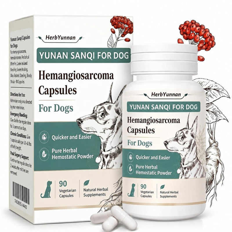 Yun nan Sanqi Capsules for Dogs - Pure Root Powder with Ajuga for Hemangiosarcoma, Hemoabdomen, Pericardial Effusion, Ulcer-Related Bleeding, Cancer Bleeding, Severe Bruising - 90 Capsules