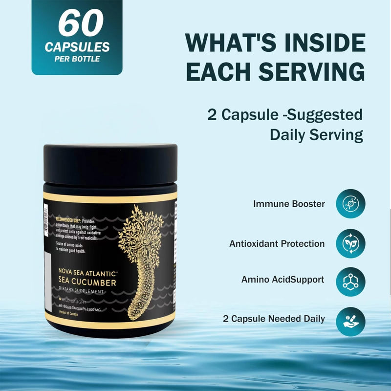 Sea Cucumber Supplement, Wild Caught Sea Cucumber Capsules with Fucosylated Vitamins Mineral — Natural Antioxidant Supplement for Elderly Adult Child 60Count(1 Pack) 60 Count (Pack of 1)
