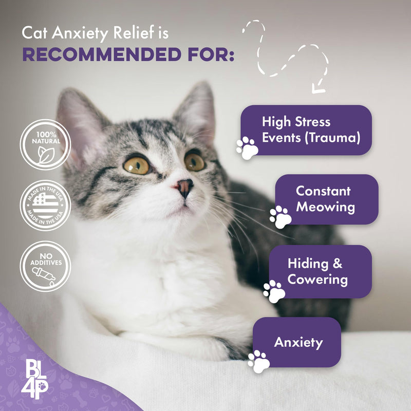Pet Relax Cat Calming Anxiety Relief, Natural Calming Care for Cats, Cat Stress and Anxiety Relief, Soothes Separation Anxiousness, Homeopathic Feline Aid for Travel, 400 Odorless, Tasteless Pills Cat - 400 Pills - PawsPlanet Australia