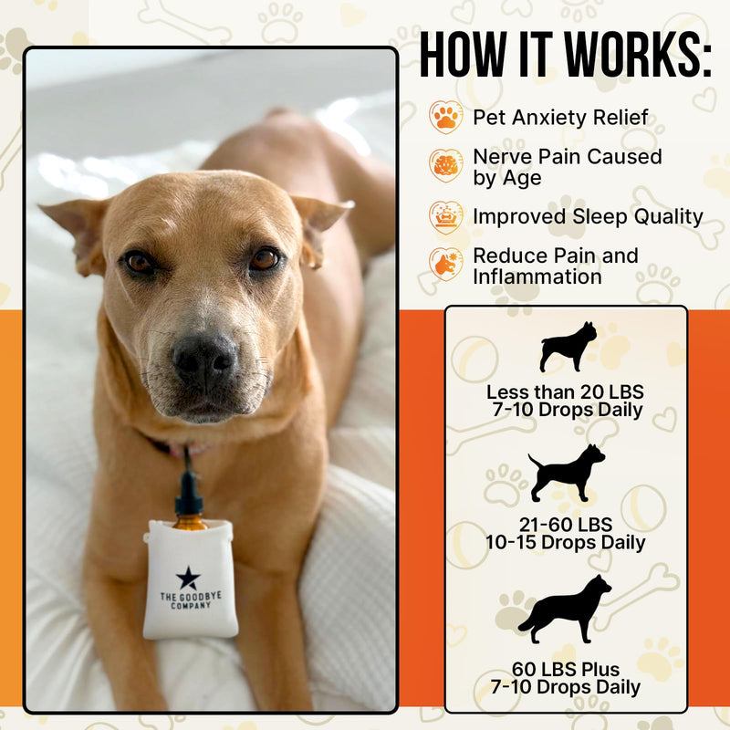 Organic Hemp Oil for Dogs & Cats - Anxiety Relief, Joint Pain Support & Calming - 100% Pure Cold-Pressed Hemp Seed Oil - Vegan, Cruelty-Free, Hand-Filled in Florida - 30ml