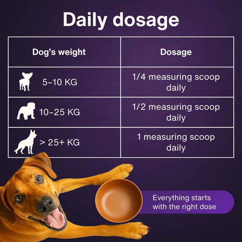 Dr. Flex Collagen Powder for Dogs | 300g Bovine & Marine Collagen | Joint & Mobility Support for All Dogs | High Strength Vitamin B Complex (B1 B2 B3 B5 B9 B12) | Aids Skin, Coat Health & Digestion Collagen Complex