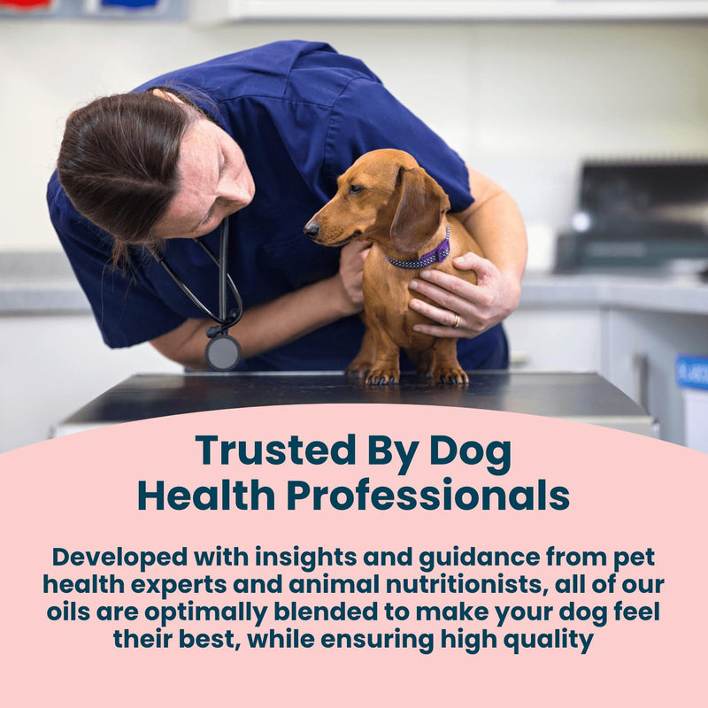 Daily Support Dog Supplement 150ml | Specially Formulated Supplements for Adult Dogs | For Balance, Vitality & Long Term Health | 100% Natural | With Salmon Oil and Coconut Oil for Dogs