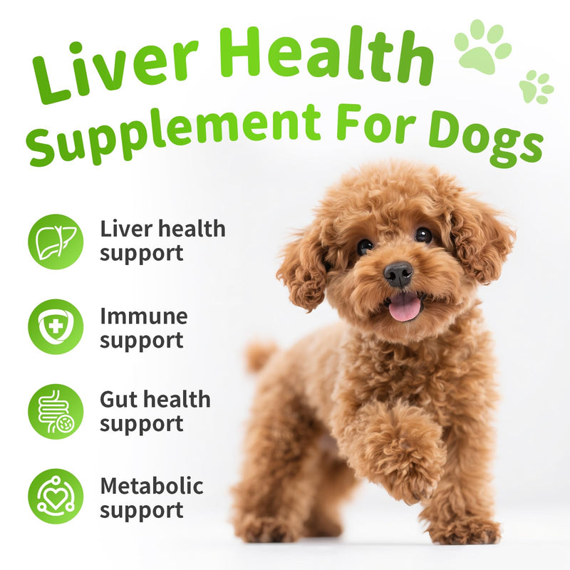 Dog Liver Support Chews - with Milk Thistle (Silybum), Same & NAC - Liver Supplement for Metabolic - Detox - Gut & Immune Health - Chicken Flavor, 90 Soft Chews Chicken 90 CT