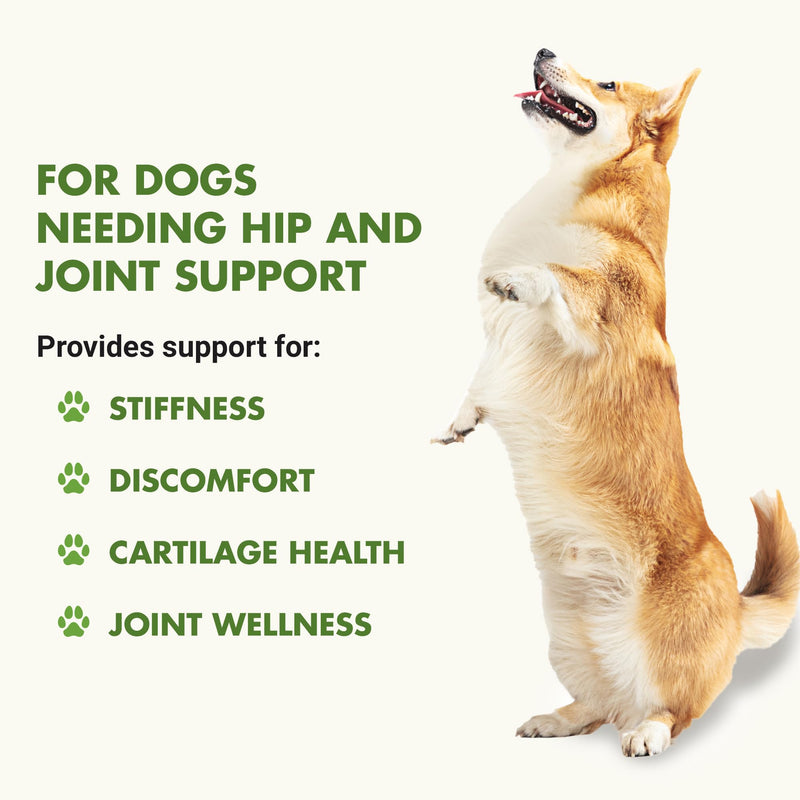 LIQUID-VET K9 Hip & Joint Formula, Bacon Flavor, 16oz Bacon - Wellness 16 oz