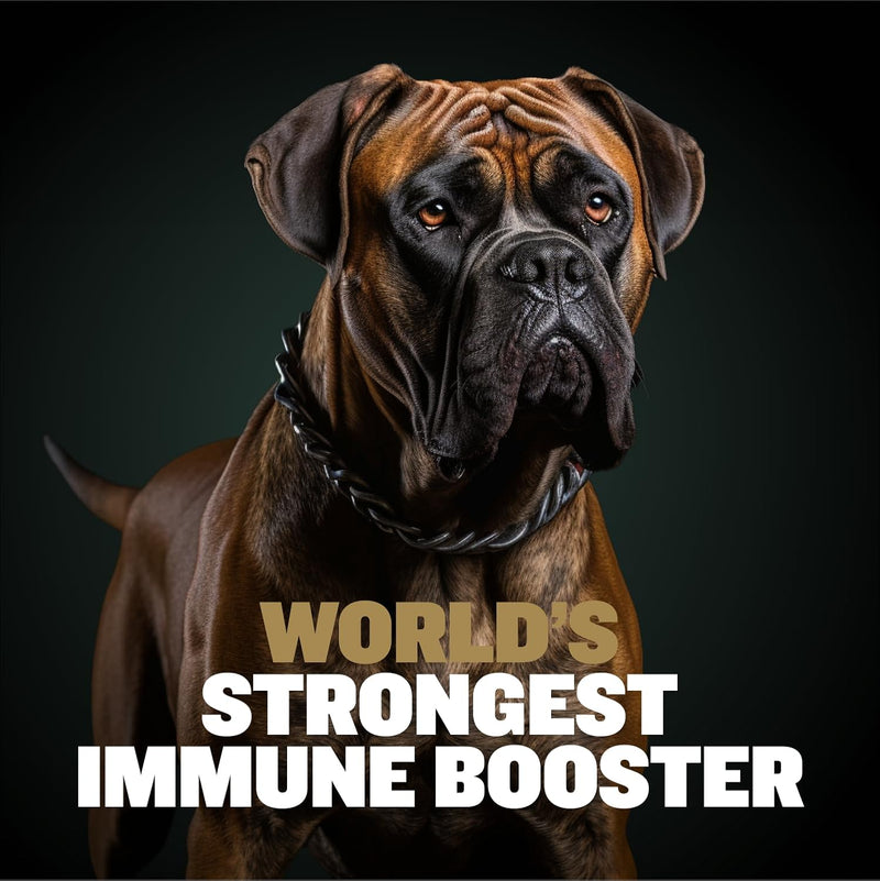 Bully Max 11-in-1 Muscle Gain Power Chews - High Protein Dog Supplement with Amino Acids - Healthy Treats for Puppy & Adult Dogs - Premium Muscle Builder for All Breeds - 75 Tasty Soft Dog Chews - BeesActive Australia