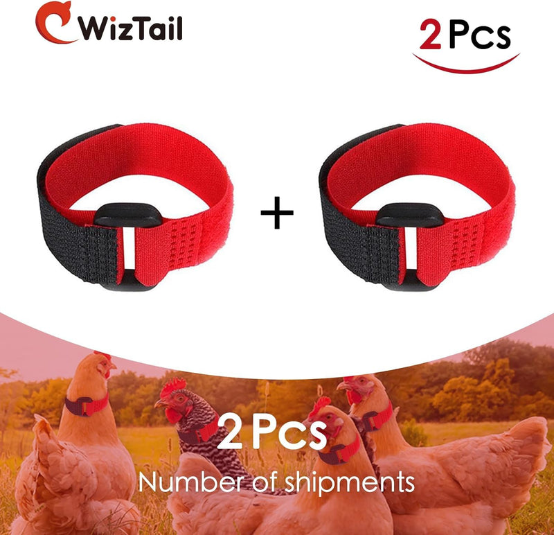 2Pcs Black and Red Crow Rooster Collar, Crow Collar, Rooster Collar, Neck Belt for Roosters Cockerel Velcro Nylon Prevent Chickens from Screaming Basic Collars - BeesActive Australia