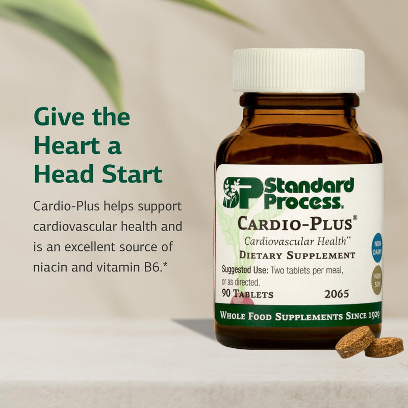 Standard Process Cardio-Plus, Heart & Circulation Support, 90 Tablets | Antioxidant Support, Heart Health, Circulation and Blood Flow Supplement with Vitamin B6, Niacin and Riboflavin Unflavored 90 Count (Pack of 1)
