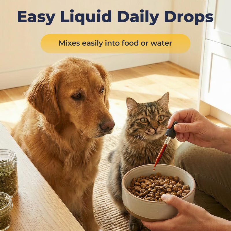 Turmeric Curcumin Drops for Dogs & Cats, Joint Comfort & Mobility Support, High Absorption Liquid Turmeric with Black Pepper, Omega-3 & Vitamin D3, Helps Maintain Flexibility & Daily Movement, 2 fl oz