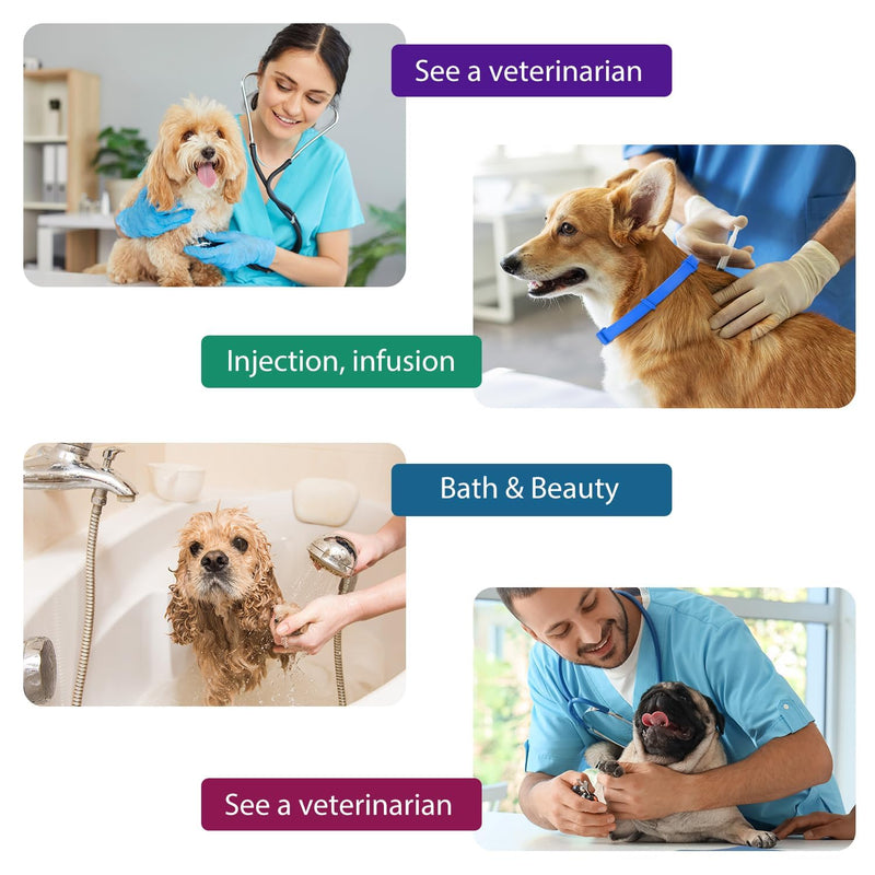 4 Pack Blue Calming Collar for Dogs – Anxiety Relief with 60-Day Effect, Adjustable Comfort for Stress, Separation, Noise & Vet Visits, Suitable for Puppies to Senior Dogs