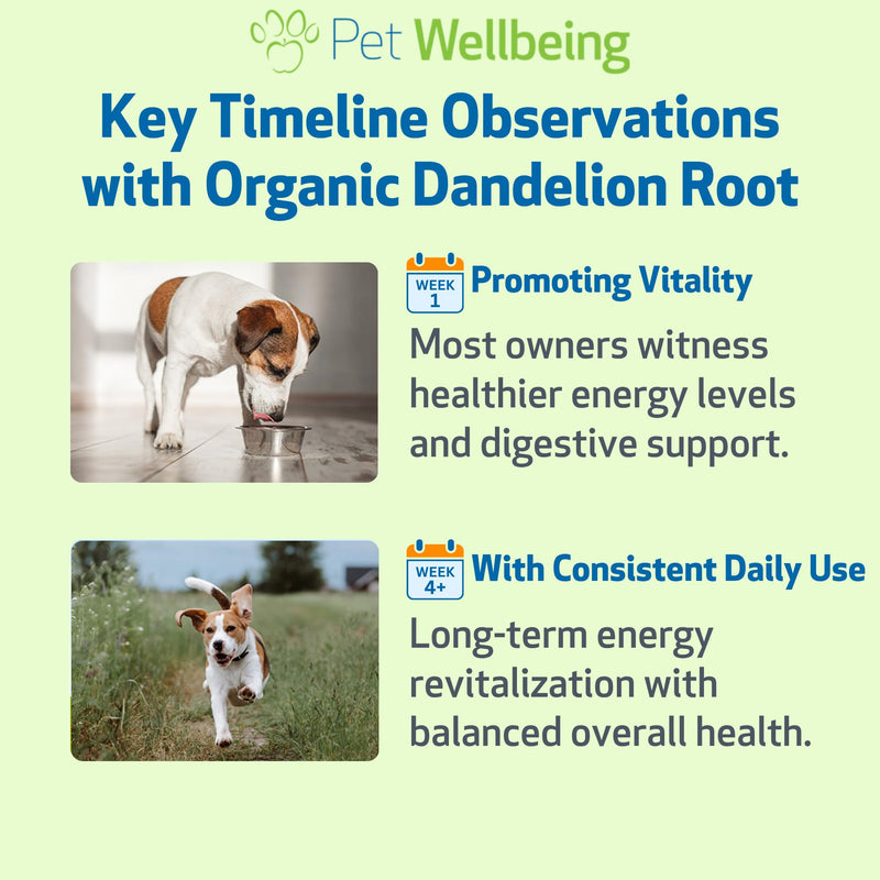 Pet Wellbeing Organic Milk Thistle & Organic Dandelion Root for Dogs - NASC Certified & Vet-Formulated Liver Support, Bile Flow, Digestive & Metabolic Wellness Bundle, Natural Bacon Flavor, 2 (2 oz)