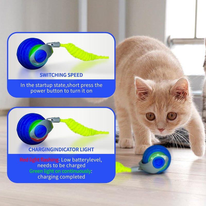 Interactive Cat Toy Ball for Indoor - Strong Driver for Endless Entertainment, Automatic Cat Toy for Indoor Cats, Enrichment and Interactive Cat Toys for Hours of Fun (Blue) Blue - BeesActive Australia