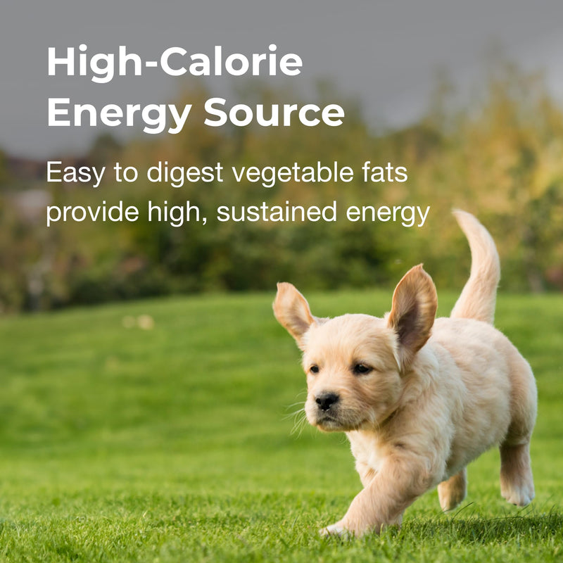 Pet-Ag High Calorie Gel Supplement for Dogs - 5 oz, Pack of 2 - Chicken Flavor - Provides Extra Calories for Dogs 8 Weeks and Older - Easy to Digest - PawsPlanet Australia