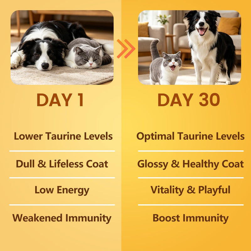 Pure Taurine for Dogs & Cats Taurine Powder Supplement for Pet Puppy Kitty 500mg Unflavored Easy-to-Mix Taurine Supplement for Doggy Supports Immune Heart Vision Skin Vitality Made in USA 200 Grams
