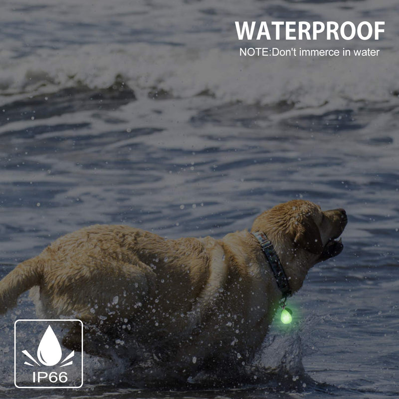 Novkin Rechargeable 2 Pack Dog Light, Waterproof LED Dog Collar Light Attach to Collar, Leash or Harness，Safety Light for Night Hiking, Camping White Orange - BeesActive Australia