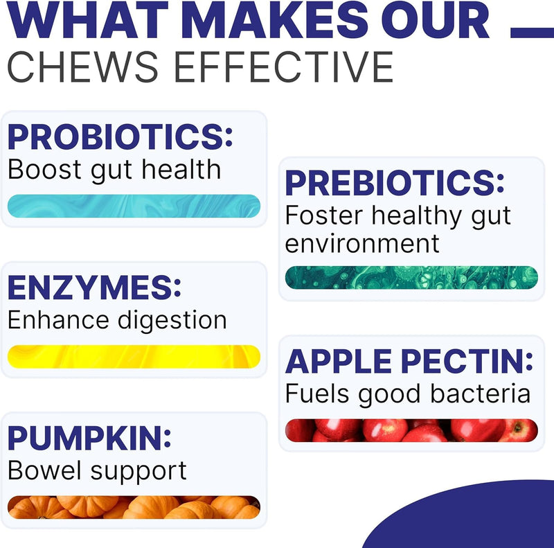 Probiotic, Enzyme, Prebiotic, Dog Chews for Digestive Support - Helps with Stool Consistency, Gas, Constipation, Diarrhea - 100 Chews (Pack of 1) - Classic Beef - BeesActive Australia