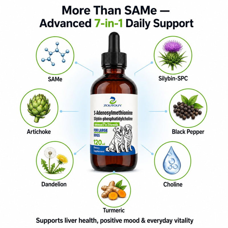 Same for Dogs Liquid Drops with Silybin, Milk Thistle, Choline, Artichoke, Dandelion & Curcumin, Dog Liver Support Supplement, Positive Mood & Daily Wellness Formula,Same for Dogs Liquid (120ml) 120ml