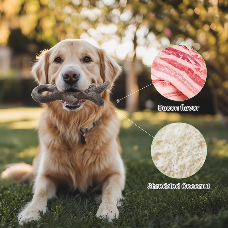 Gardner Pet 2-Pack Dog Chew Toys for Aggressive Chewers, Added Shredded Coconut Durable Nylon + TPR Interactive Dog Toys, Teething Toy for Medium/Large Breed, Bacon Flavor (Antlers+Bone L) Large Antlers + Large Bone - BeesActive Australia