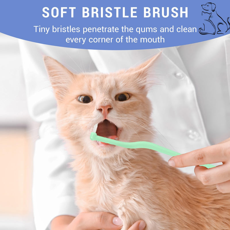 YANINEE 6 pieces soft silicone cat toothbrush set, nylon cat toothbrush, cat toothbrush - BeesActive Australia